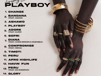 Fireboy DML – Playboy (Album) Mp3 Download