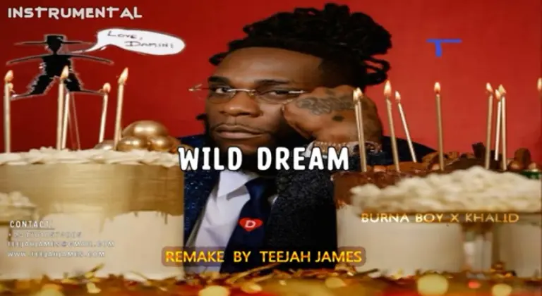 Download Instrumental Burna Boy – Wild Dream ft. Khalid (Remake By Teejah James)