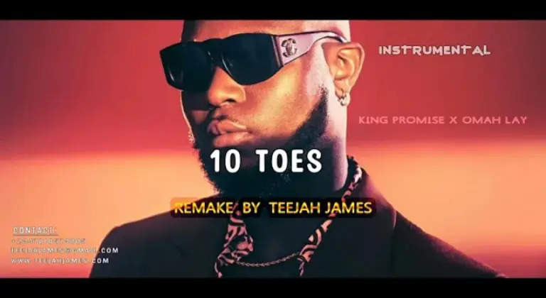 Instrumental King Promise – 10 Toes ft. Omah Lay (Remake By Teejah James)