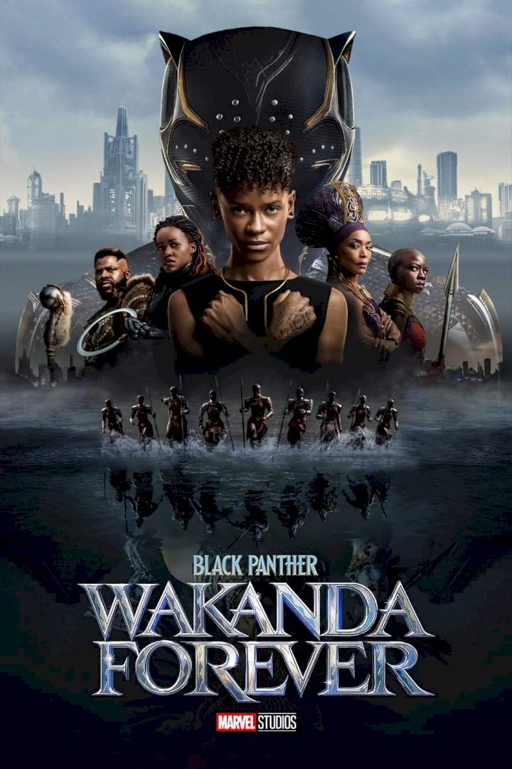 Download Black Panther: Wakanda Forever (2022)
