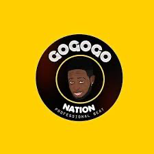 Professional Gogogo – Joy in Chaos Mara Beat